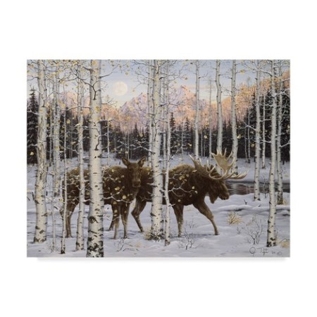 TRADEMARK FINE ART Jeff Tift 'Forest Twilight' Canvas Art, 18x24 ALI30201-C1824GG